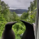 Ferienhaus Fjord Peace