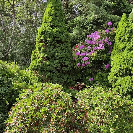 Fjord Peace Vakantiehuis Skodje