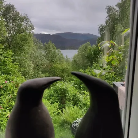 Vakantiehuis Fjord Peace