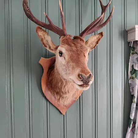 Fjord Peace Vakantiehuis *